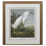 SNOWY HERON BY JOHN J. AUDUBON