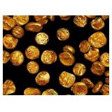 Midevil India Empire (1336-646 CE) Gold Coin