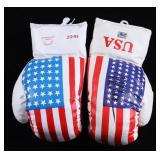 Autographed Mike Tyson USA Boxing Gloves