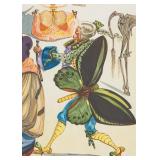 Le Meunier Lucas Dans Canvas by Salvador Dali