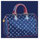 Carry Collection LV Speedy by Some Nobody