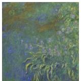 Irises c.1926 Large Canvas by Claude Monet