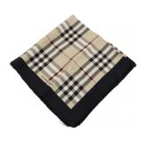 Burberry Nova Check Scarf