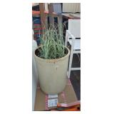 Large plant pot