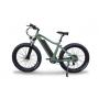 NEW EBIKE AND PADDLEBOARD AUCTION JULY 19 AT 10 AM
