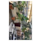 4 artificial plants