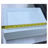10 porcelain rectangular plate