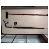 Cane and Umbrella Set