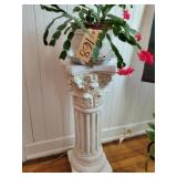 Live cactus plant on pedestal