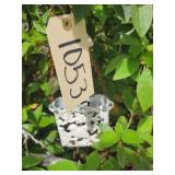 Shepherd hook, bird hanger
