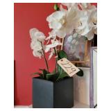 Artificial orchid, (2)  8x10 floral prints