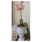 Artificial amaryllis Plant
