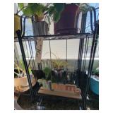 Plant stand with plants