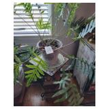 Tile plant stand  w/ live plant