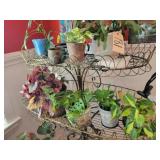 Live plants