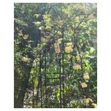 Trellis