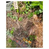 Yard decor