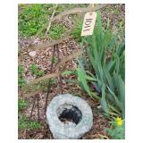 Garden birds