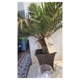 ARTIFICAL PLANT