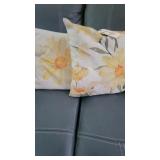 2 PILLOWS