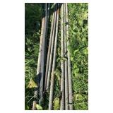 All thread- several lengths and sizes