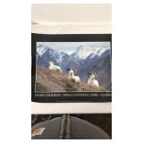 Lot of 7 Alaskan photographs and prints