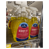 (10X) BioGuard Kleen It Descaling Filter Cleaner: Removes Scale, Metal & Dirt, 1 Qt
