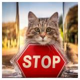 Please Read Our Terms