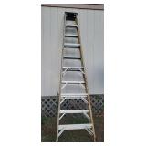 Werner D716-2 Fiberglass 16-ft Extension