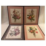Four Framed 16" x 20" Floral Prints