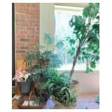 Artificial Plants and Planters Lot