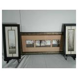 Framed Forest Photography