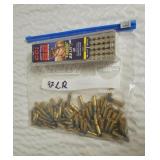 Assorted .22LR Ammo