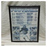 Framed 2006 Georgia Southern Eagles Schedule