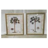 Two Framed Botanical Prints