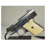 Raven .25 Auto Pistol
