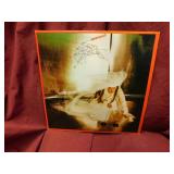 Lene Lovich - Flex Lene Lovich - Flex