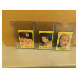 5 - 1986 Monty Gum Collectible Westling Cards