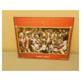 Team Canada 2002 Womens Hockey Champions - 20x16