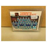 1975-76 OPC Maple Leafs #91 team Checklist