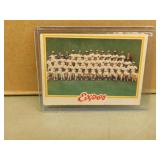 1978 OPC Expos Team Checklist #207 card