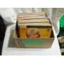 Delhi Record Auction