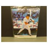 MLB Licensed Don Mattingly Photo