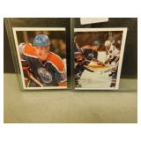 1982 Topps Hockey Sticker #97 + #98 Wayne