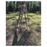 Werner 6 Foot Fiberglass Ladder