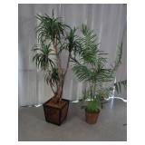 (2) Artificial Plants