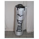 (1) Punching Bag (Everlast Brand)