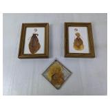 (3) Pressed Flower Art in Wood & Glass Frames