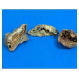 (3)Assorted Natural Coral/Mineral Specimens Trio