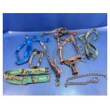 (8) Dog Collars, Leashes, & More - Strategy & More